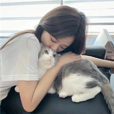 鬣狗式生存