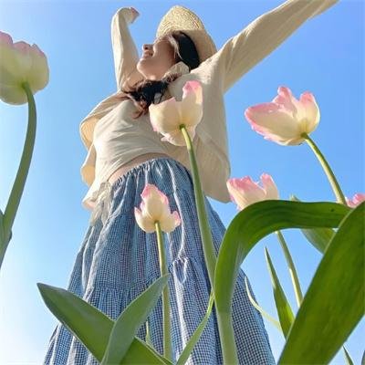 怪医杜立德4:宠物司令官国语